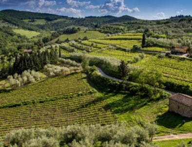 Rent a bike and explore Tuscany