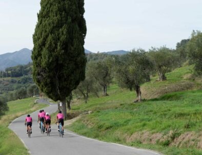 Cycling-along-the-Via-Francigena