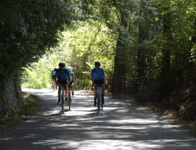 Daily Bike Tours in Trentino with a professional cycling guide